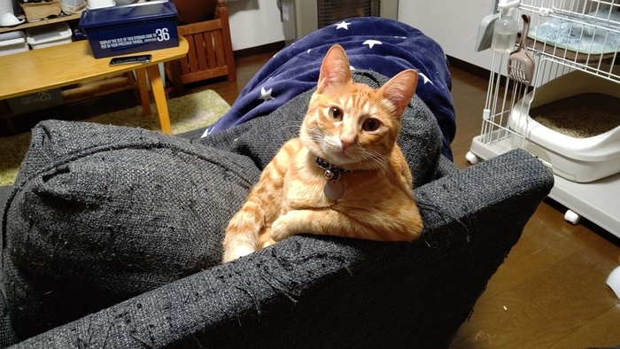 Ну что, поговорим ? Я заметил ты мне не досыпаешь ?