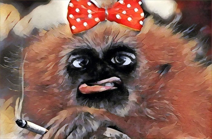  ,   , , , , 