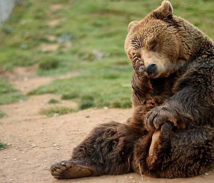 Ой! Где был я вчера...