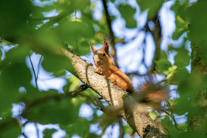   !... , , , , , , The National Geographic, ,  , 