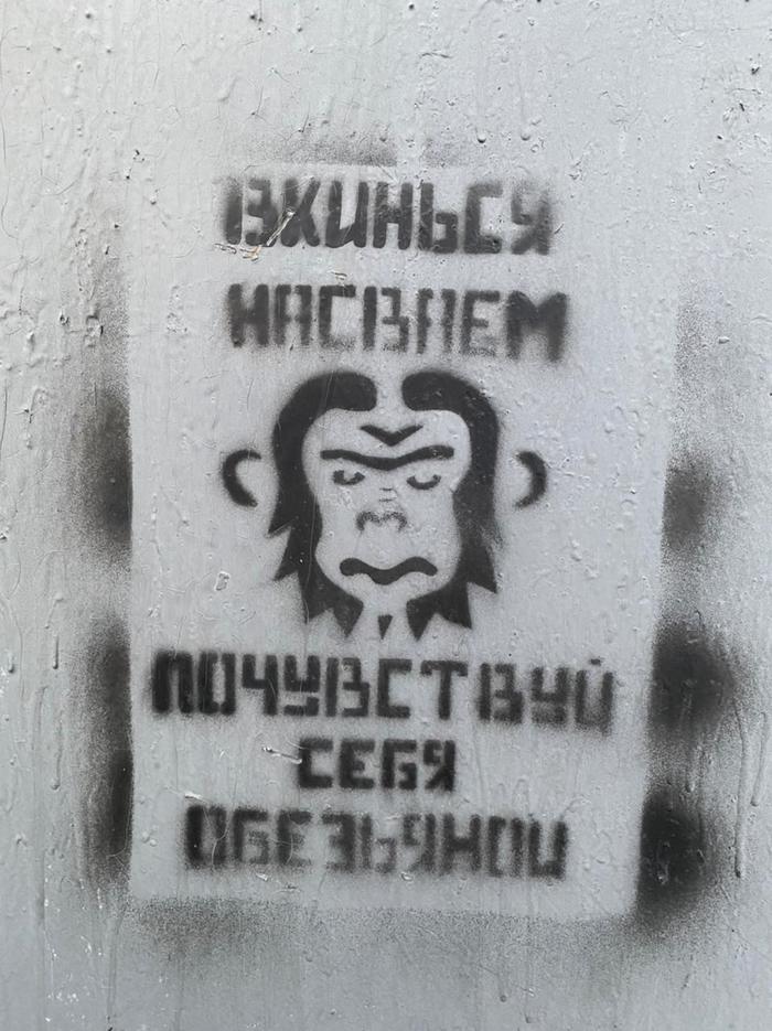 Сегодня вот такую штуку обнаружил на стене гаража  )))