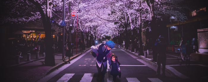 Night And Sakura For Two