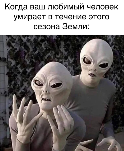 ������ ���: "�����"