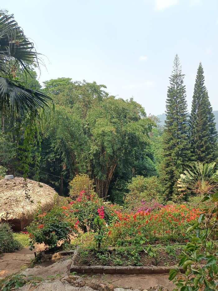 Как в Таиланде живут бесправные хмонги Таиланд, Чиангмай, Путешествия, Юго-Восточная Азия, Иммиграция, Жизнь за границей, Длиннопост