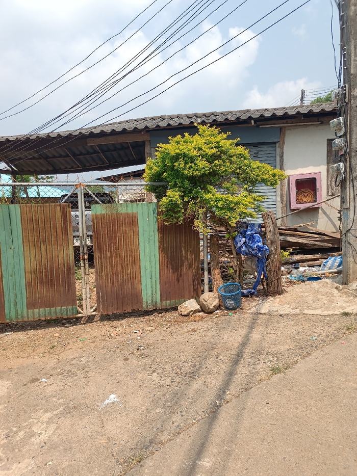 Как в Таиланде живут бесправные хмонги Таиланд, Чиангмай, Путешествия, Юго-Восточная Азия, Иммиграция, Жизнь за границей, Длиннопост