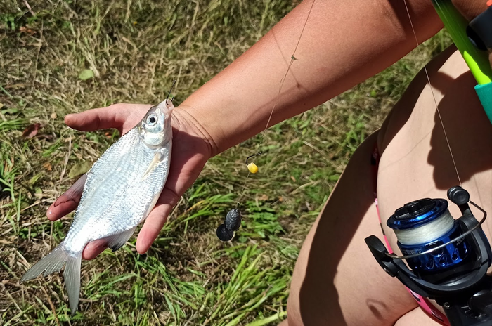 какие рыбы водятся в озере абрау дюрсо. Смотреть фото какие рыбы водятся в озере абрау дюрсо. Смотреть картинку какие рыбы водятся в озере абрау дюрсо. Картинка про какие рыбы водятся в озере абрау дюрсо. Фото какие рыбы водятся в озере абрау дюрсо