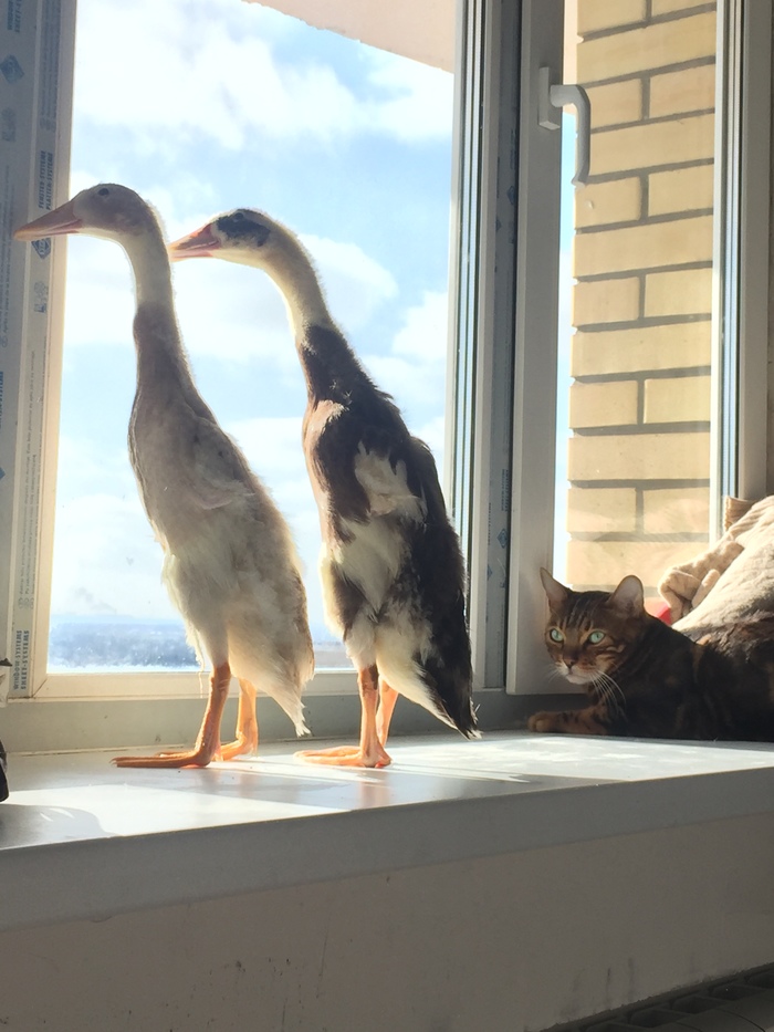 ����� �� ���� ��� ����� �������!�