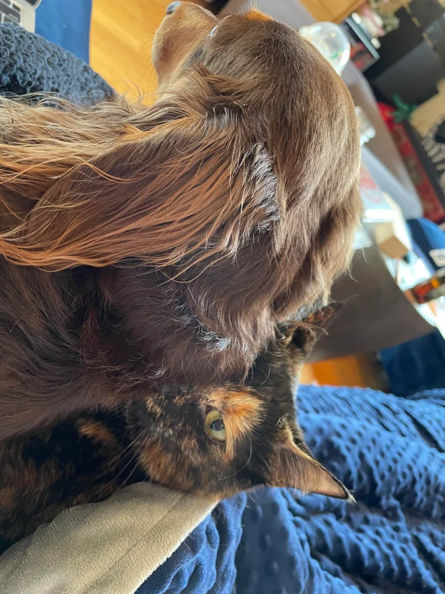 Мне удобно лечь тут