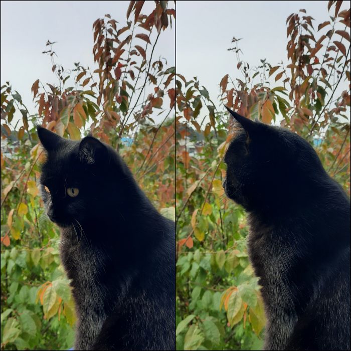 Когда никак не можешь придумать мем