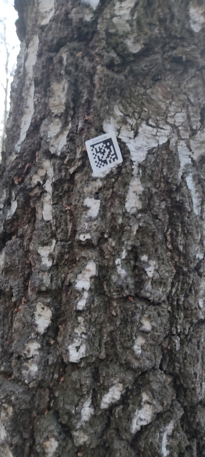 ��� ����� ��� ���?