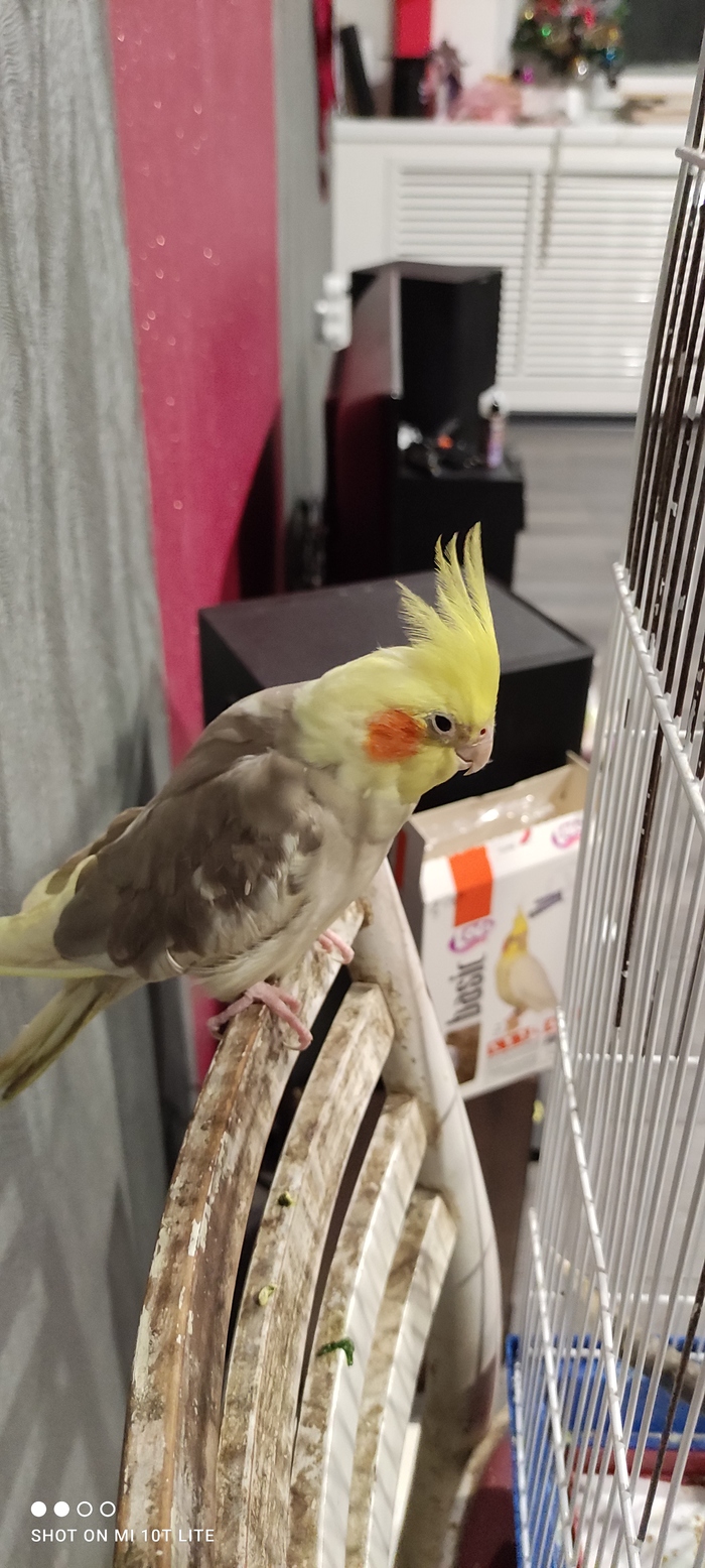   , , , , , 