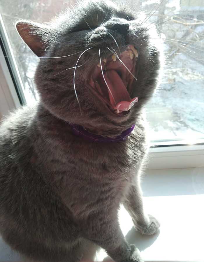   ˸    , 