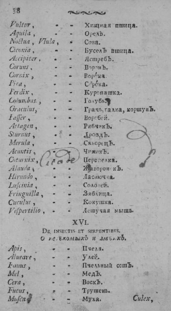 Семья на сербском языке