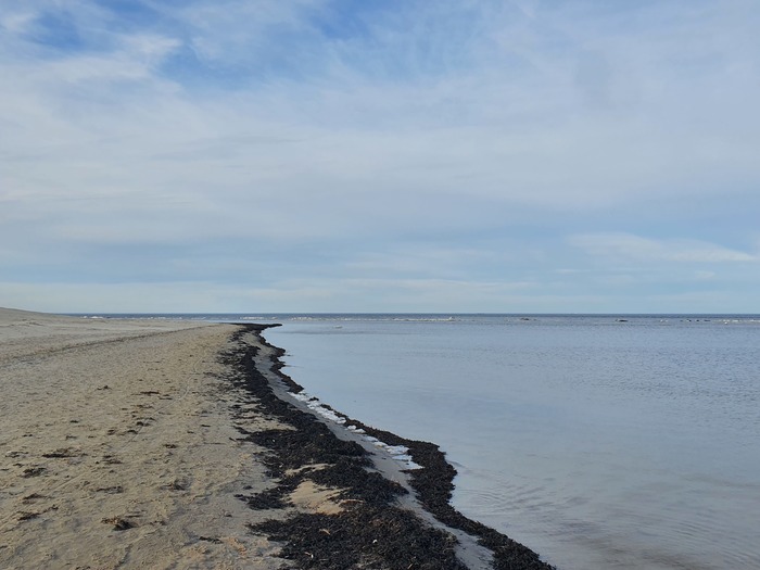 � ������� ����������/������