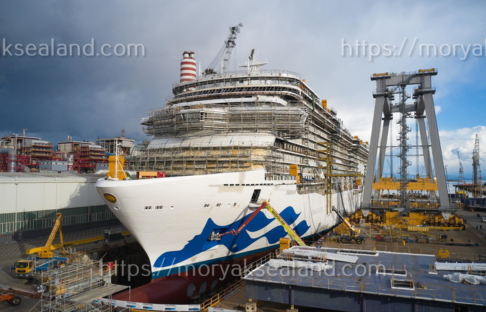   Discovery Princess   