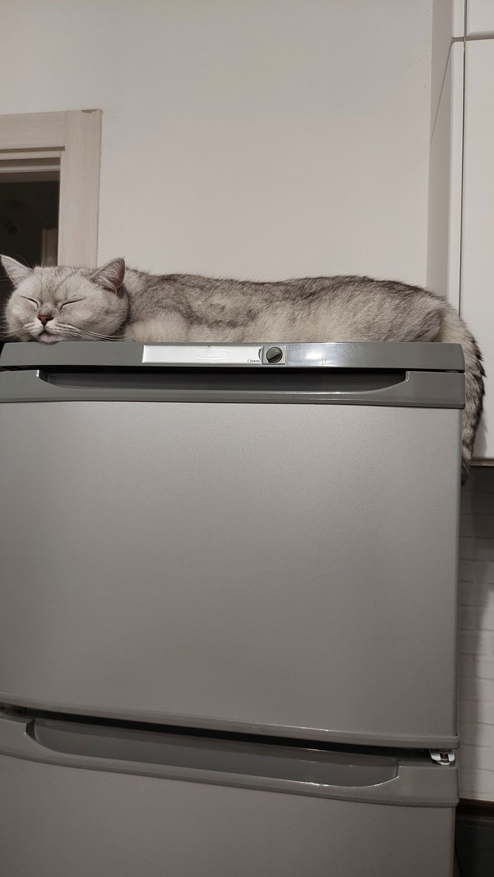 �������������� ���