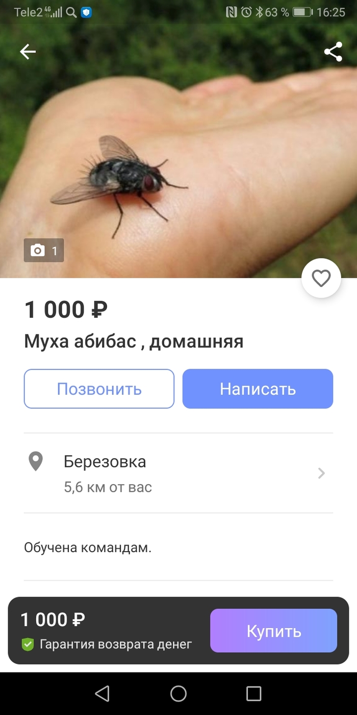 Налетай, покупай. Тренды сезона
