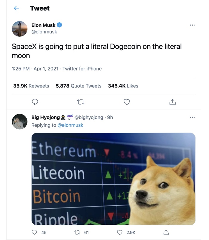 SpaceX  Dogecoin  .  - 