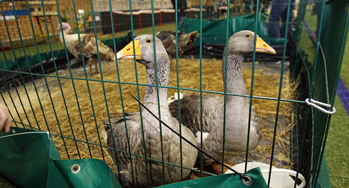 Назад в 30-ые