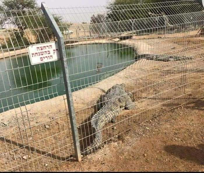 �� ������ ����, � ������ ������...