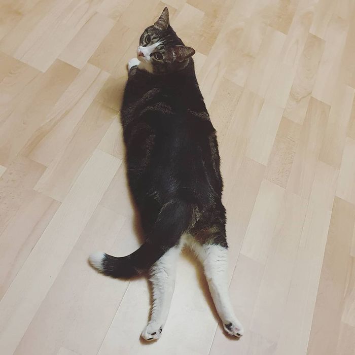  , 