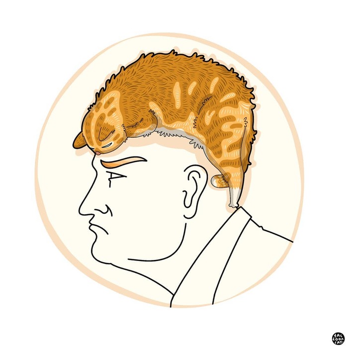 Trump Tactooncat, , ,  ,  