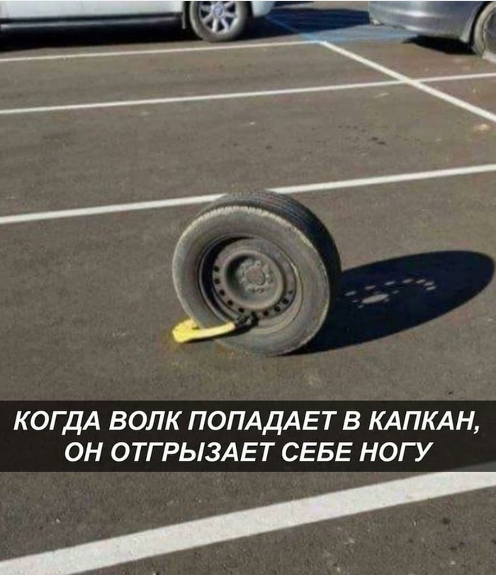 Встреча в авто в контакте. Смотреть фото Встреча в авто в контакте. Смотреть картинку Встреча в авто в контакте. Картинка про Встреча в авто в контакте. Фото Встреча в авто в контакте