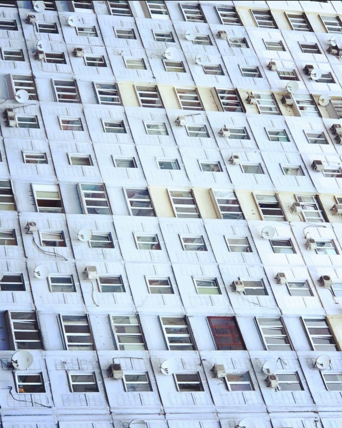 Человейник