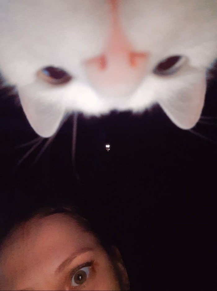 ����� �� ���� ���������� �� ����������� ������