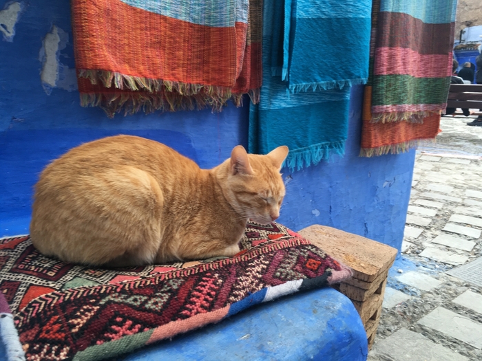 Голубой город Шавен в Марокко Шавен, Марокко, Арабы, Путешествия, Африка, Туризм, Фотография, Длиннопост