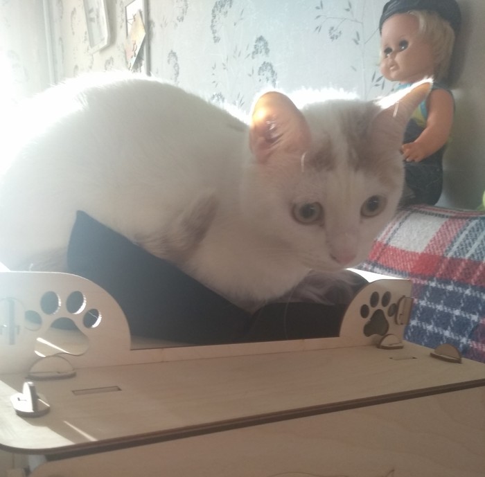 �����, �� �����!