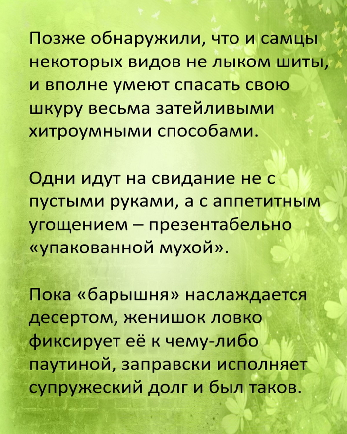 могут ли пауки откладывать яйца в человеке. Смотреть фото могут ли пауки откладывать яйца в человеке. Смотреть картинку могут ли пауки откладывать яйца в человеке. Картинка про могут ли пауки откладывать яйца в человеке. Фото могут ли пауки откладывать яйца в человеке