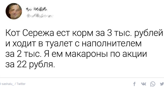 Самое лучшее - котику!