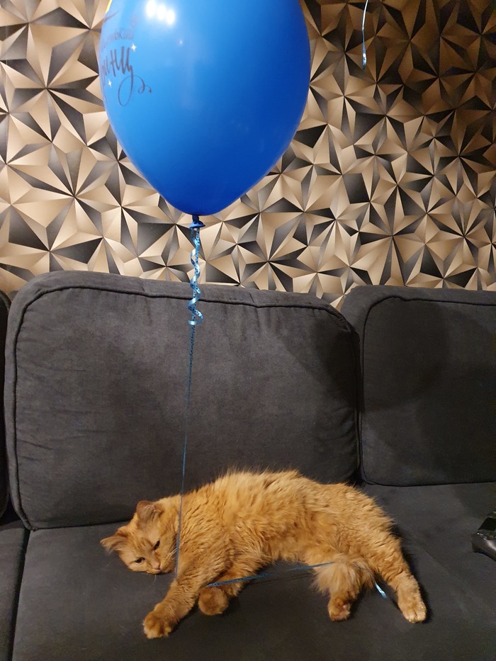 ��������, �������, �������