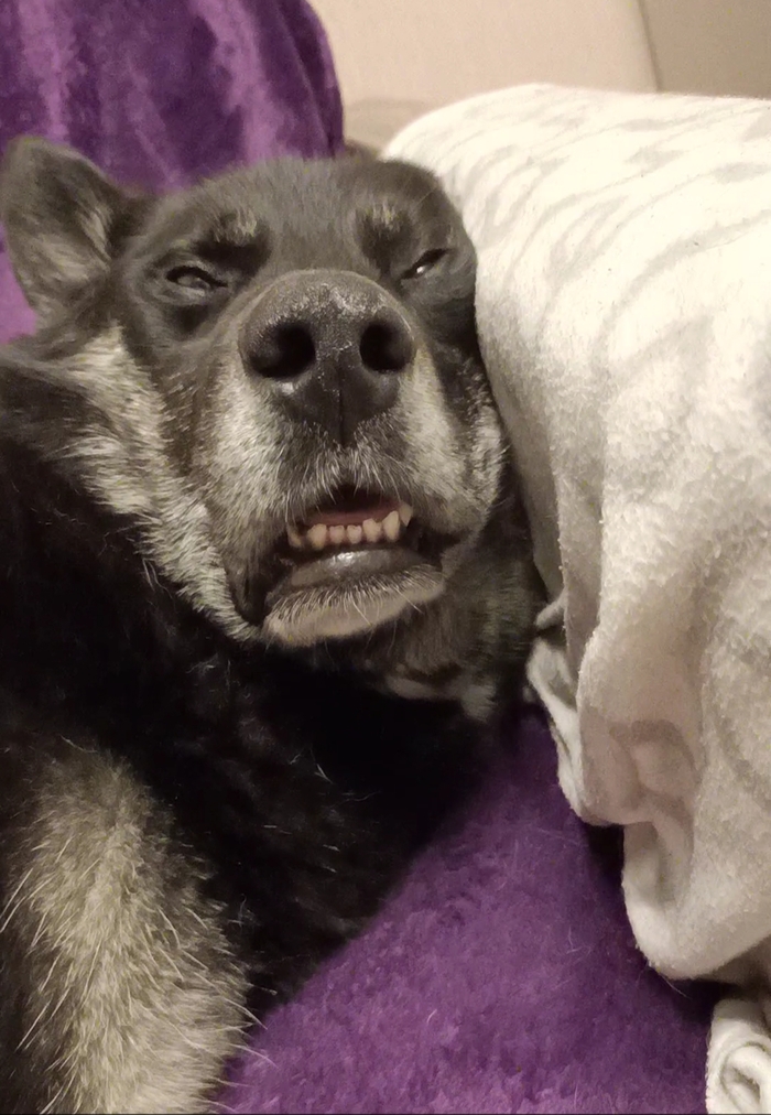 ���� ������������