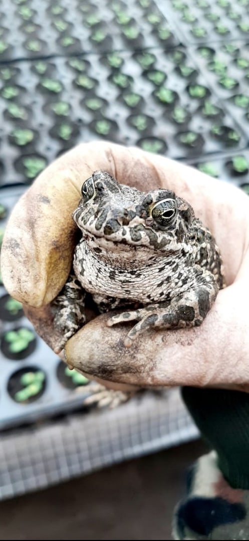 ХОЗЯИН ОТЗОВИСЬ!!!