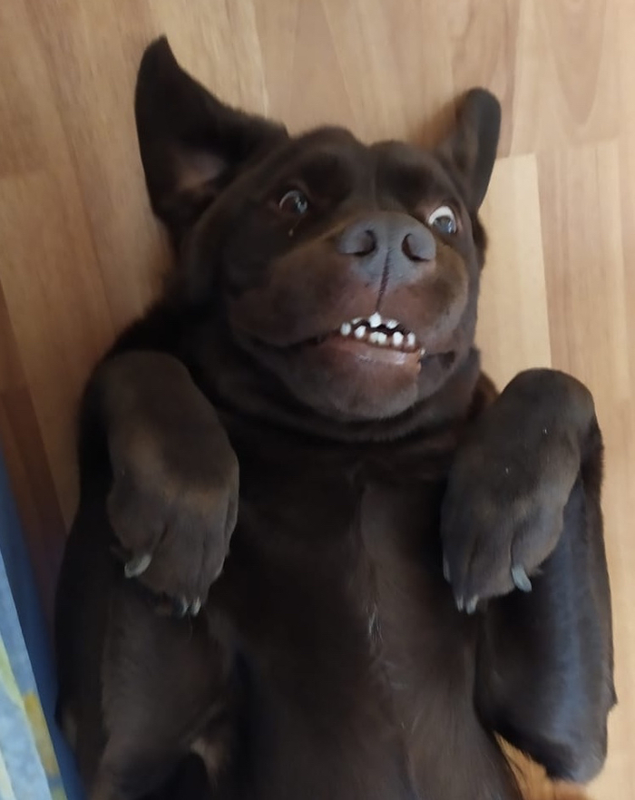 ��������� ��������