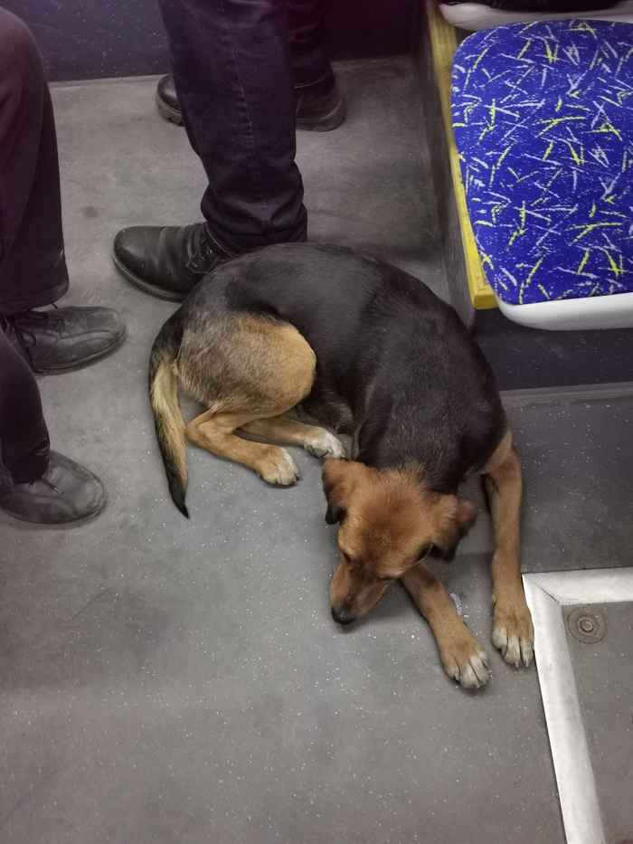 ��� ������? ������