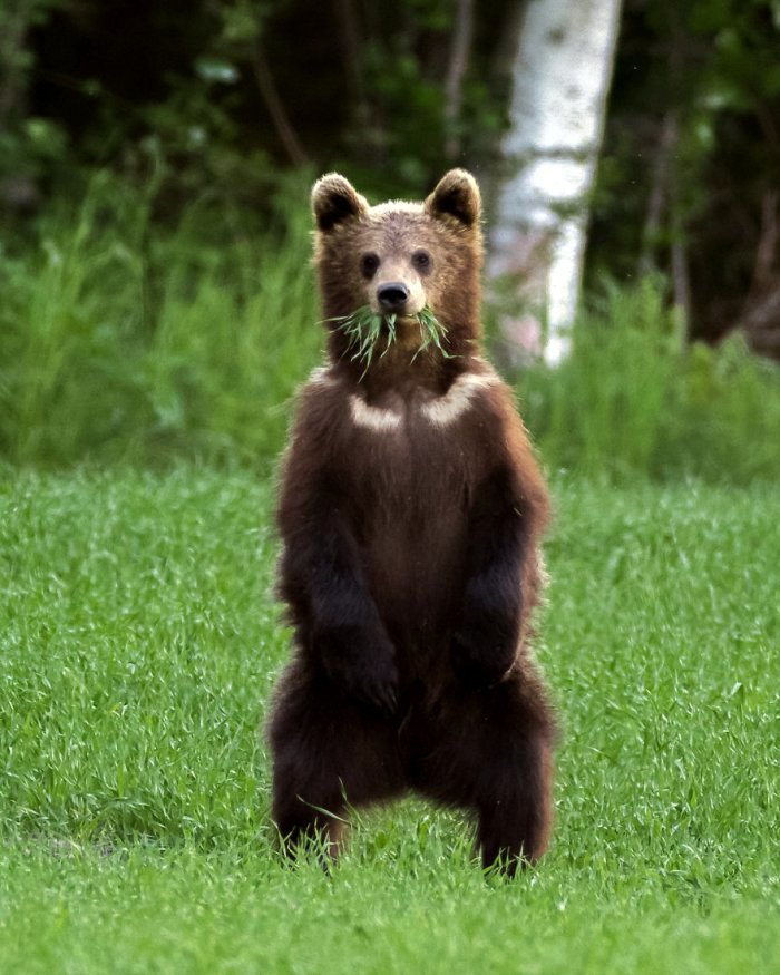 �� "��� ���� ���� ���", � �������!