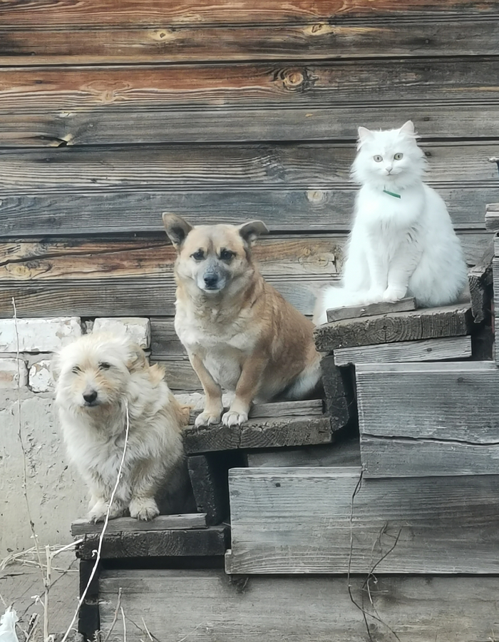 ��������� � �������