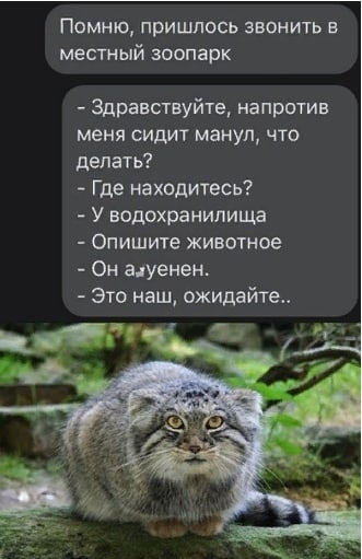 Опознание