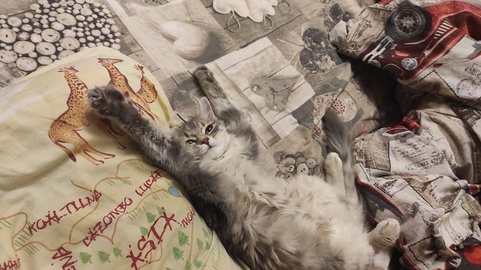 ���� �����, �� ���������!