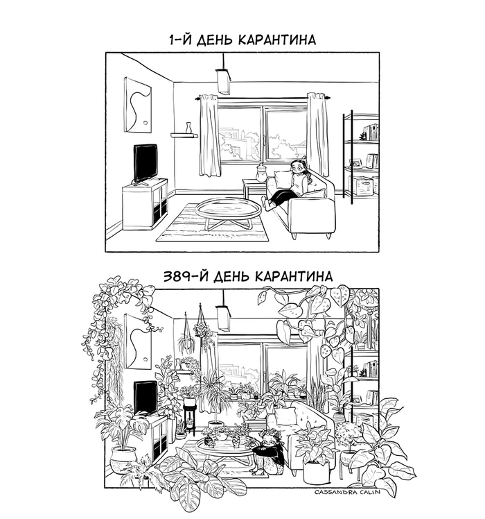 Карантин 2021