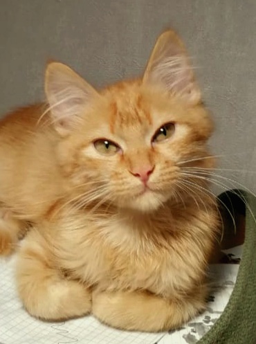 ��� �� ����, � ��� ���