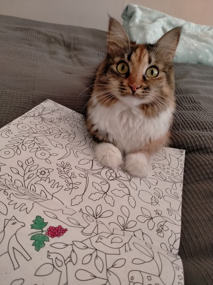 ���������