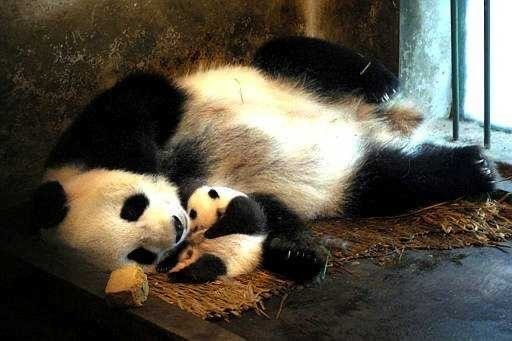 Мама и её малютка