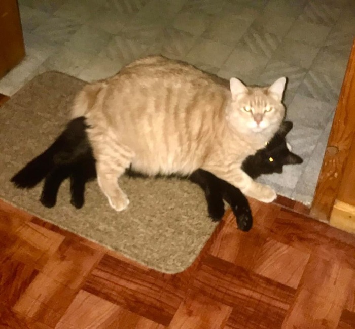 Нет, не буду вставать