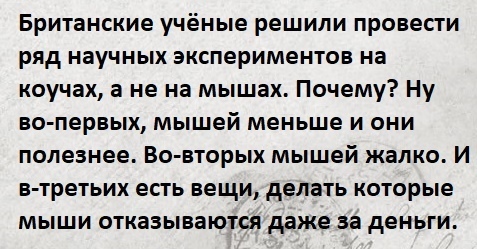 в какую дырку пролезет мышь. Смотреть фото в какую дырку пролезет мышь. Смотреть картинку в какую дырку пролезет мышь. Картинка про в какую дырку пролезет мышь. Фото в какую дырку пролезет мышь
