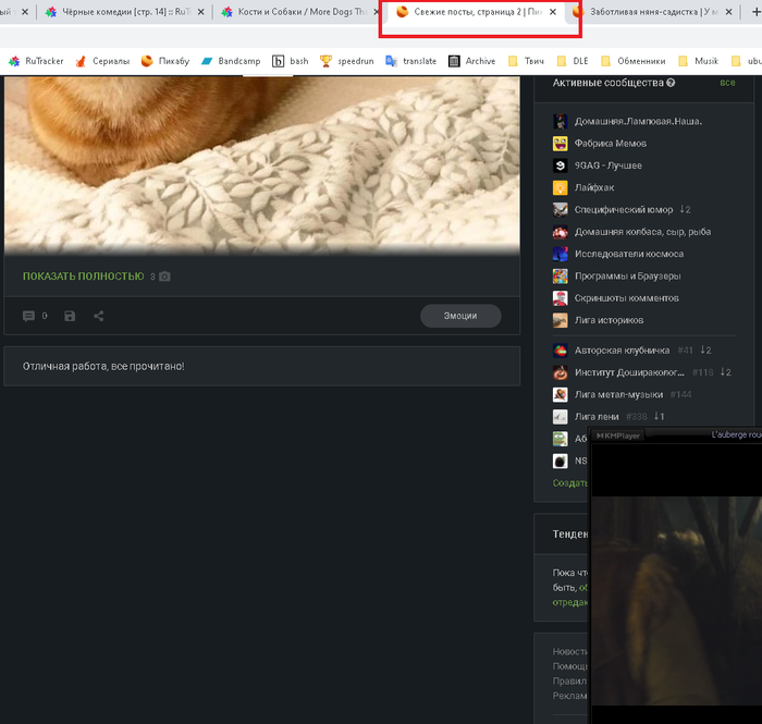 ������ ��� ���������