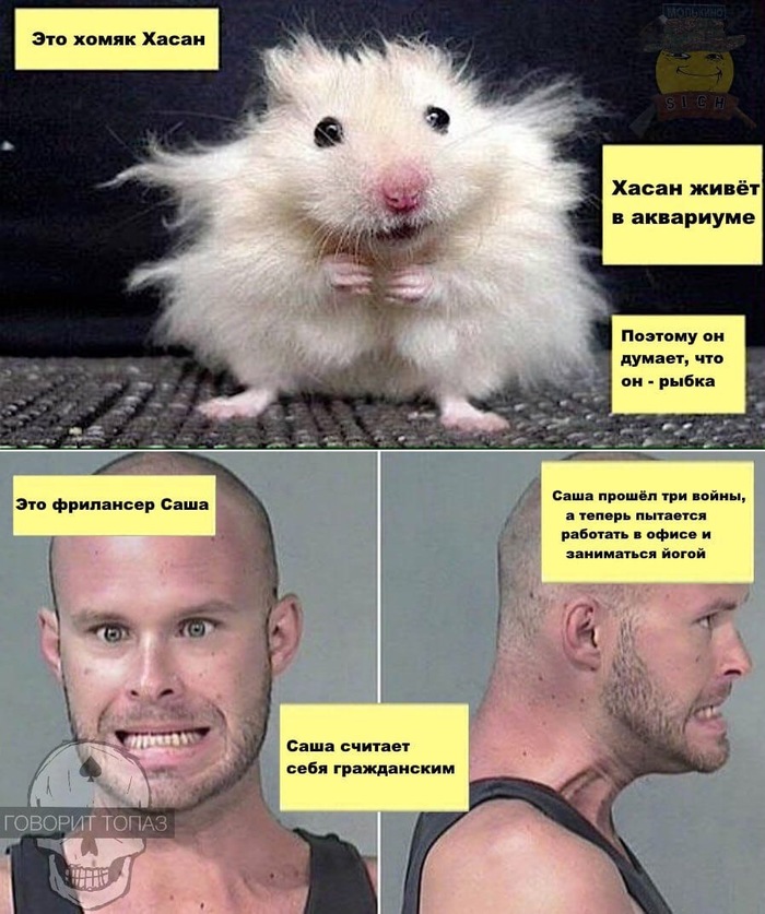 �������, ����������, �� ��������� ��������!